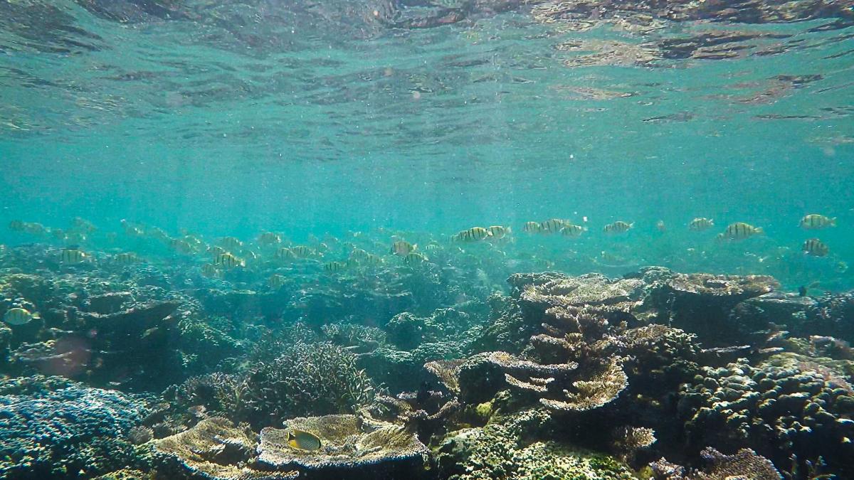 5W0NA Samoa Tourist attraction spot 5W0NA Samoa Tourist attraction spot