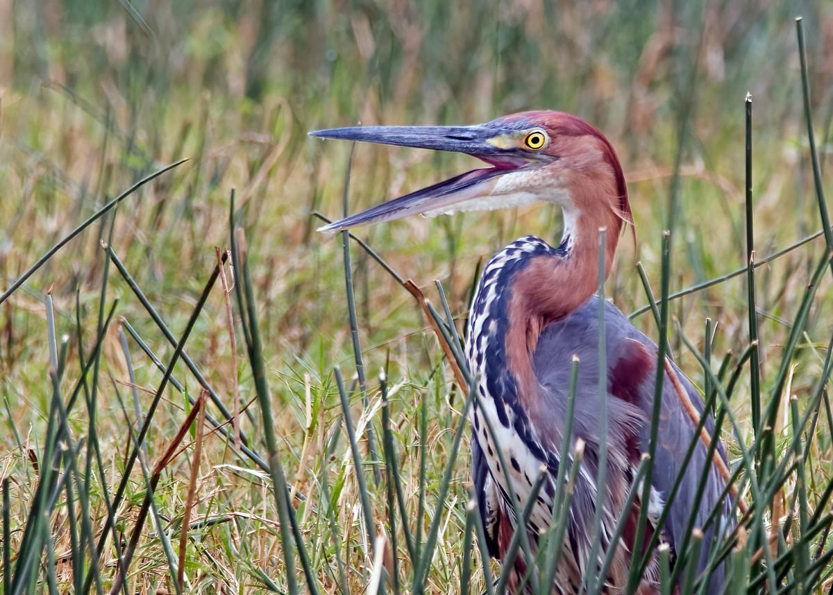 5X3Z Uganda Tourist attractions spot 5X3Z Uganda Tourist attractions spot