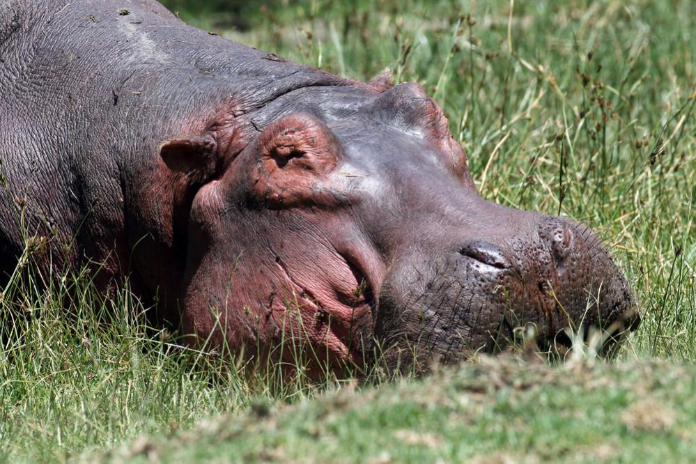 5Z4/G3AB Кения Туристические достопримечательности 5Z4/G3AB Кения Туристические достопримечательности