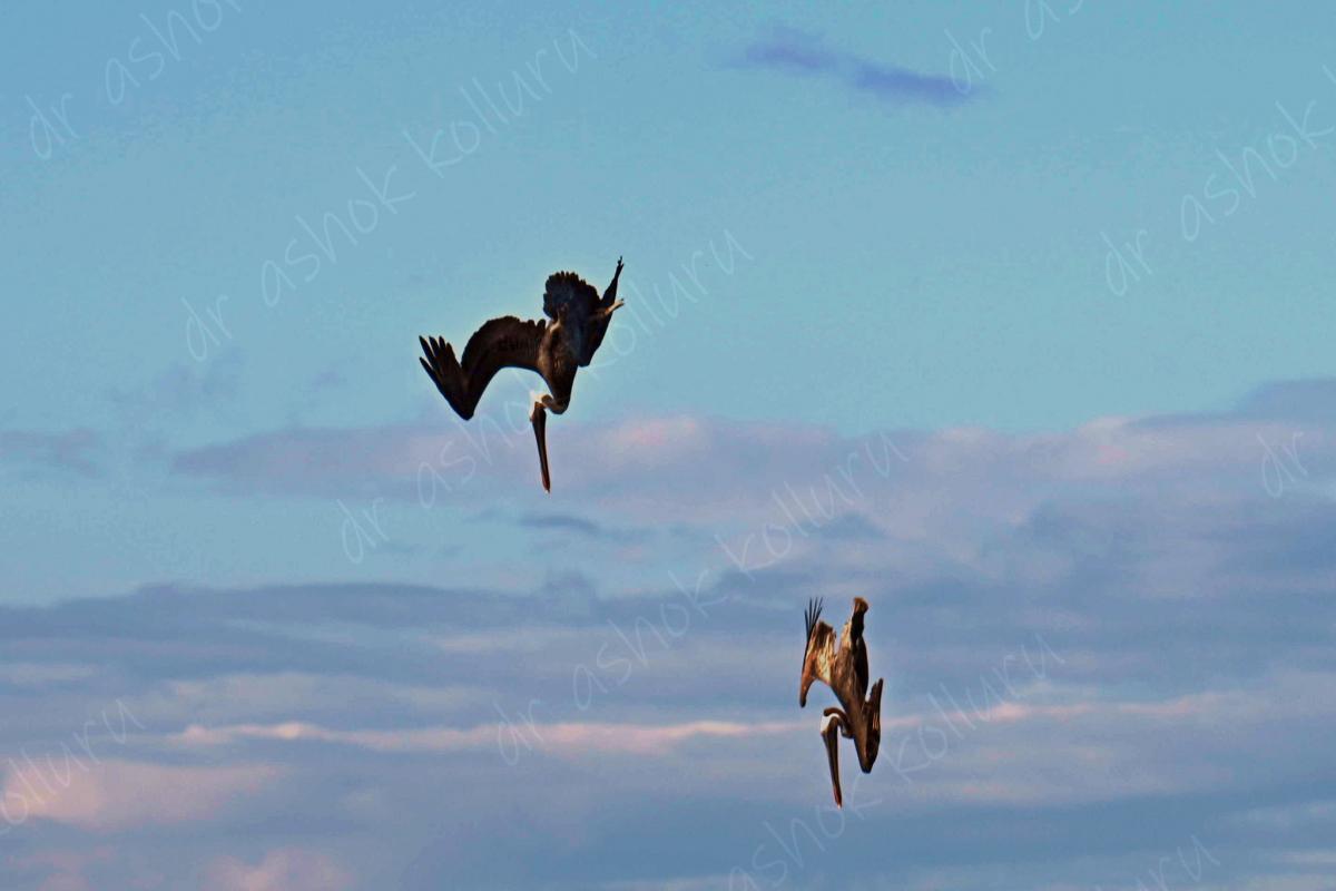 6Y7EI Jamaica DX News