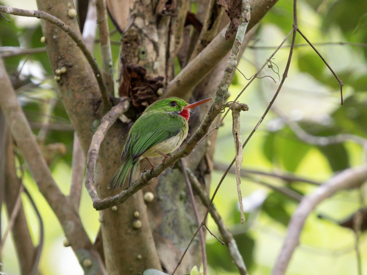 6Y7EI Jamaica Tourist attractions spot