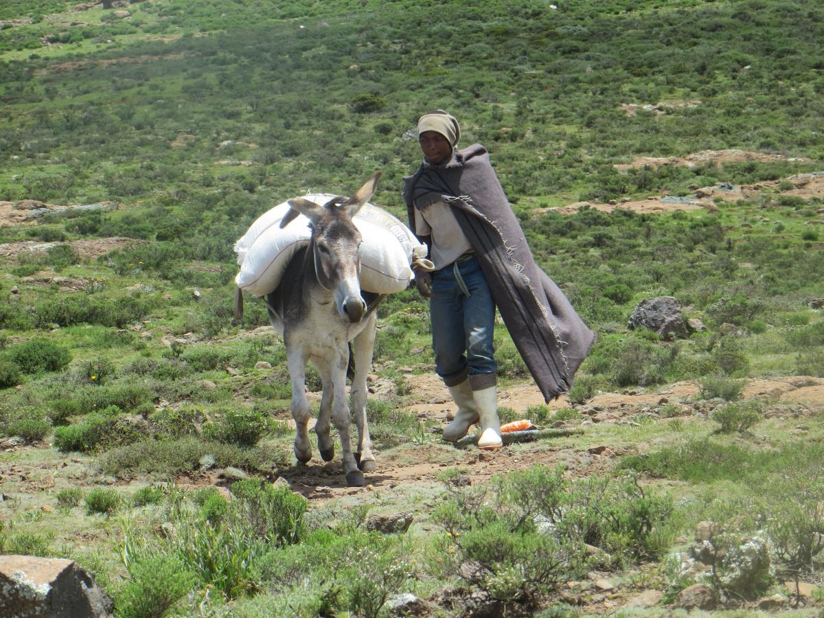 7P8WW Lesotho Tourist attractions spot 7P8WW Lesotho Tourist attractions spot