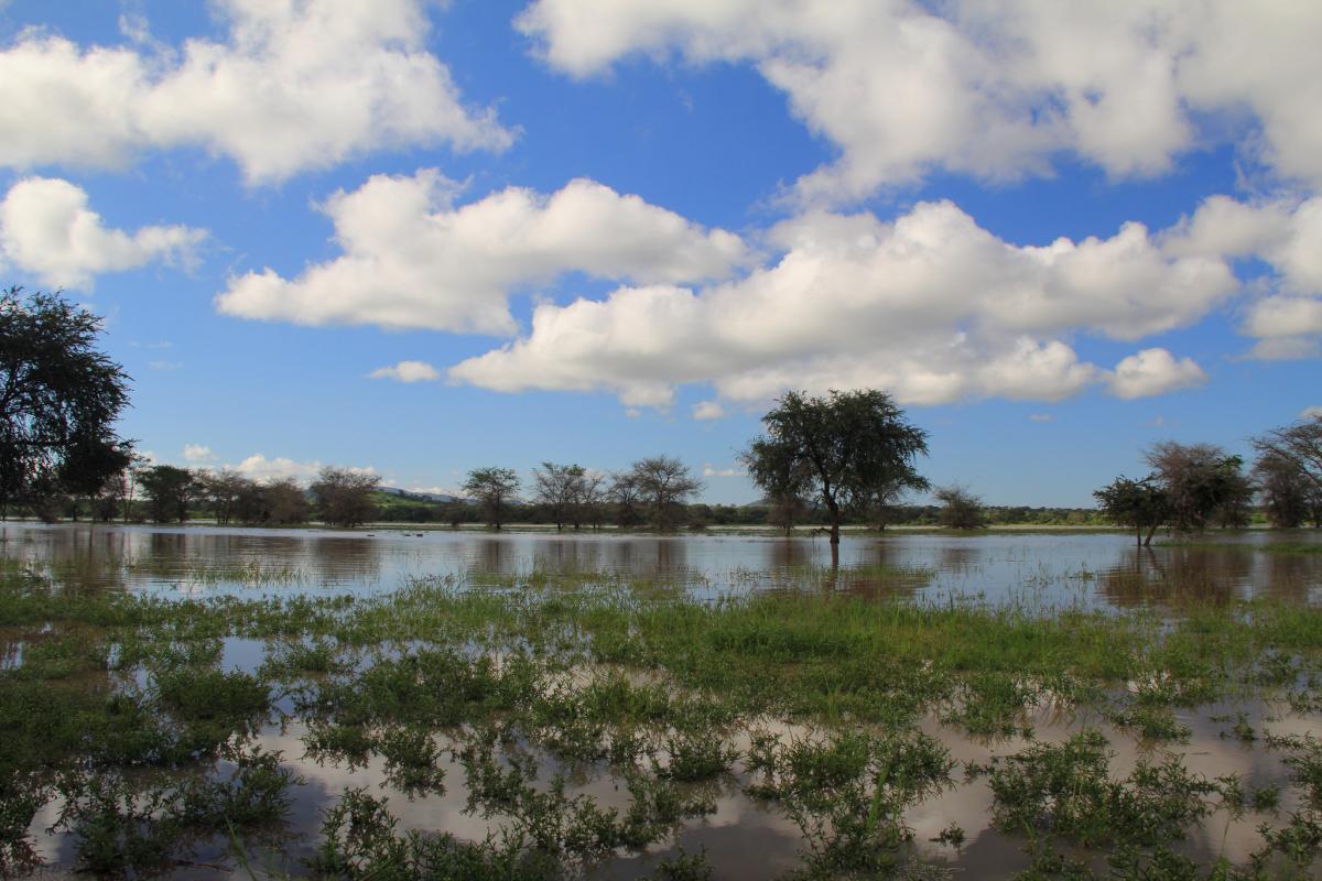 7Q7ELA Malawi DX News