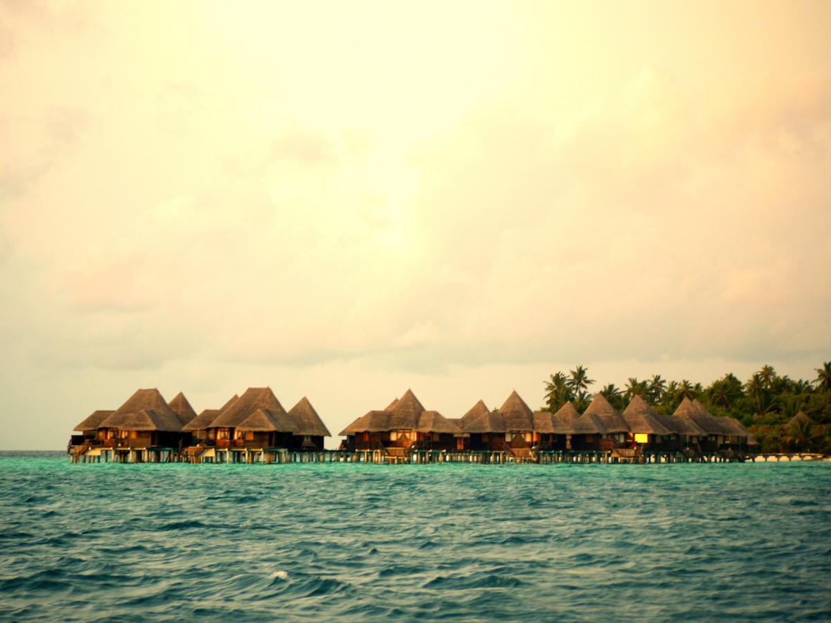 8Q7KX Coco Palm Dhuni Kolhu, Baa Atoll, Maldives. DX News 8Q7KX Coco Palm Dhuni Kolhu, Baa Atoll, Maldives. DX News