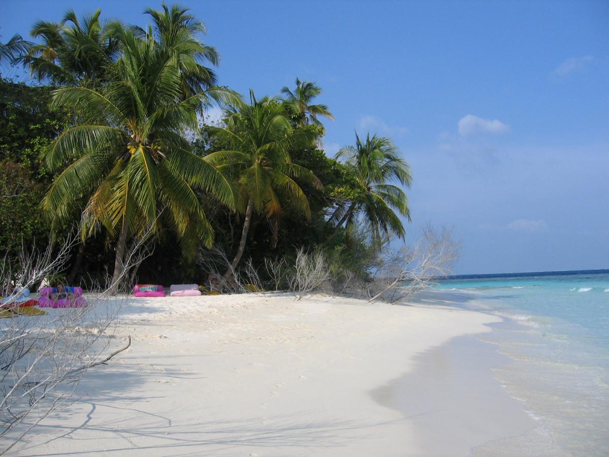 8Q7WM 8Q7WX Maldive Islands DX News