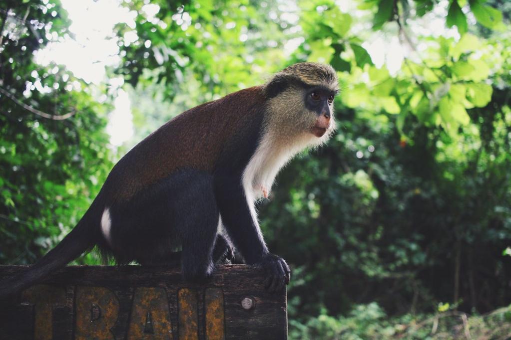 9G5CC 9G5RR 9G5ZP ���� ������������� ���������������������