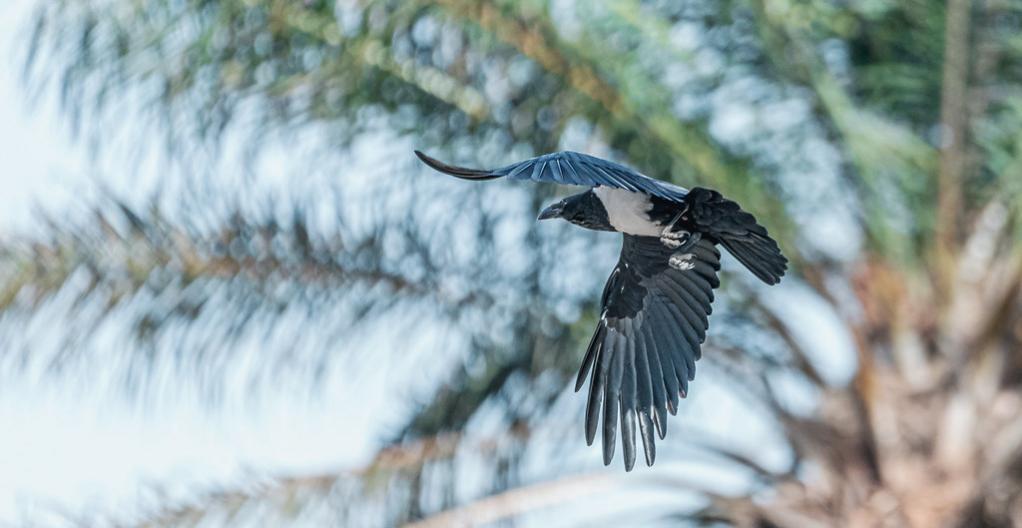 9L8MD Sierra Leone Tourist attractions spot