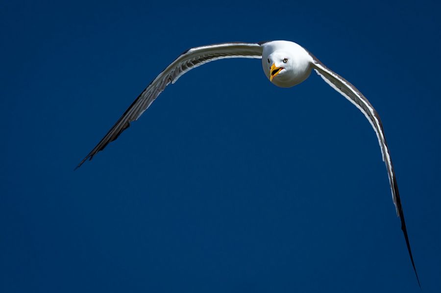 Остров Амрум DG5LAC DX Новости Остров Амрум DG5LAC DX Новости