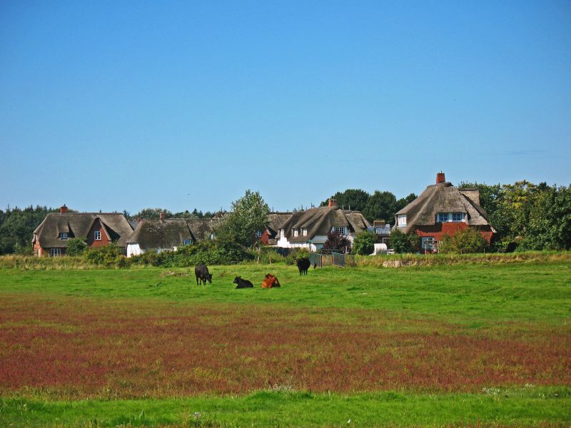 Остров Амрум DG5LAC Туристические достопримечательности Остров Амрум DG5LAC Туристические достопримечательности