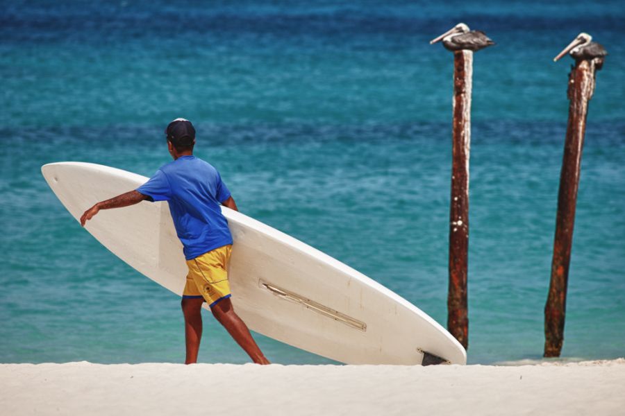Aruba P40FA DX News Windsurfing with pelicans in sight.