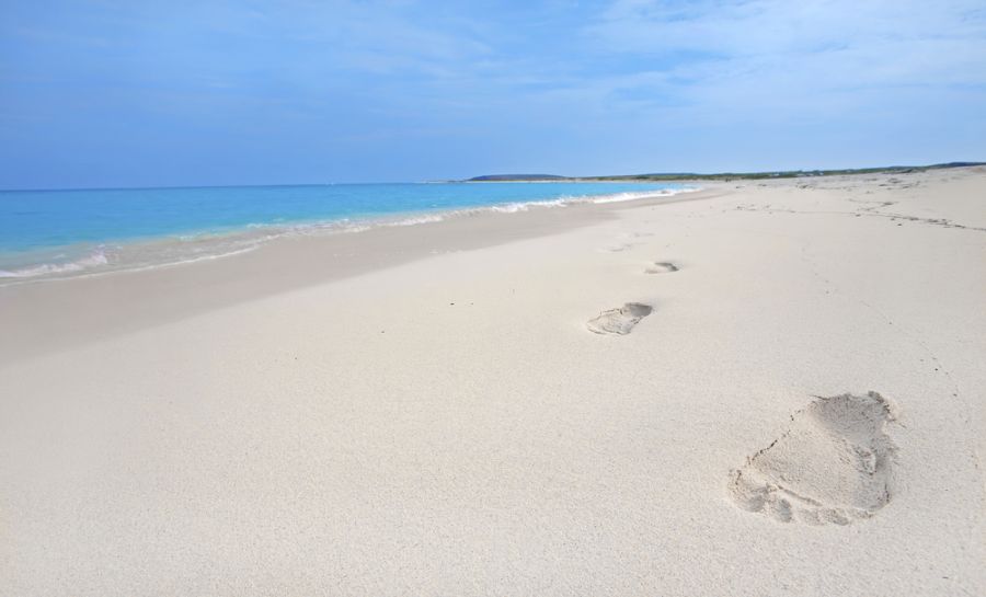 Aruba P4/DK7MCX Tourist attractions spot Footprints Aruba P4/DK7MCX Tourist attractions spot Footprints
