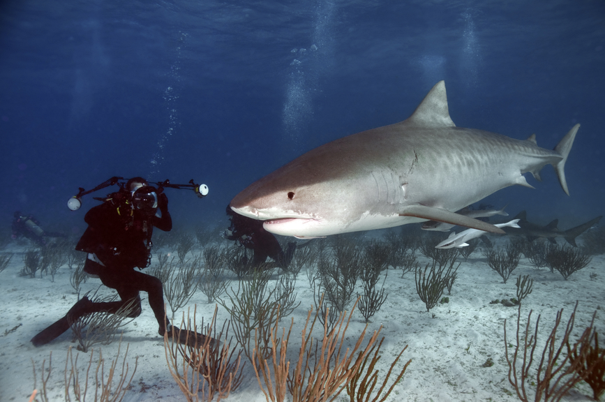 Bahamas C6AUM Tourist Attractions  Bahamas C6AUM Tourist Attractions