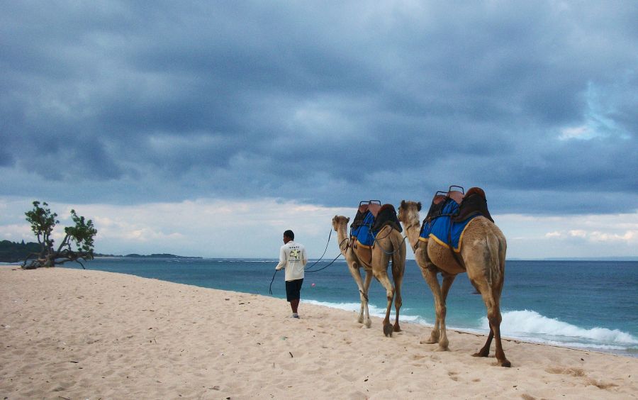 Bali Island YB9/DL5CO DX News  Bali Island YB9/DL5CO DX News