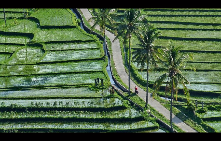 Bali Island YB9/DL5CO Tourist attractions spot Bali Island YB9/DL5CO Tourist attractions spot