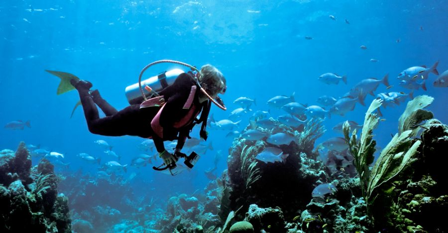 Bermuda K2SE/VP9 Tourist attractions spot Bermuda K2SE/VP9 Tourist attractions spot