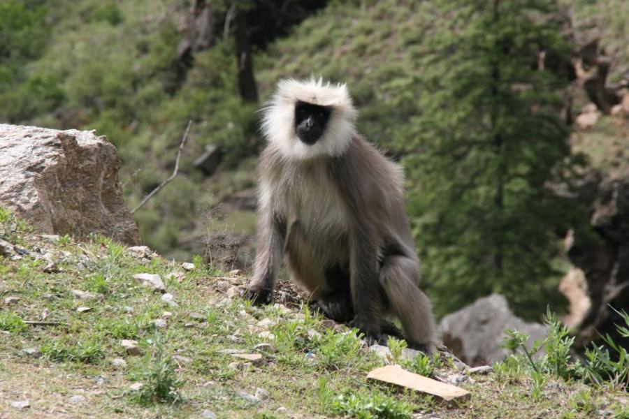 Bhutan A52ARJ A52LSS A52EQW A52AEF Tourist attractions spot Bhutan A52ARJ A52LSS A52EQW A52AEF Tourist attractions spot