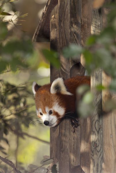 Bhutan A52EQW/M Tourist attractions spot Bhutan A52EQW/M Tourist attractions spot