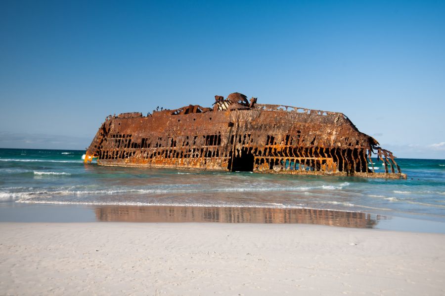 Sharks Around Boa Vista