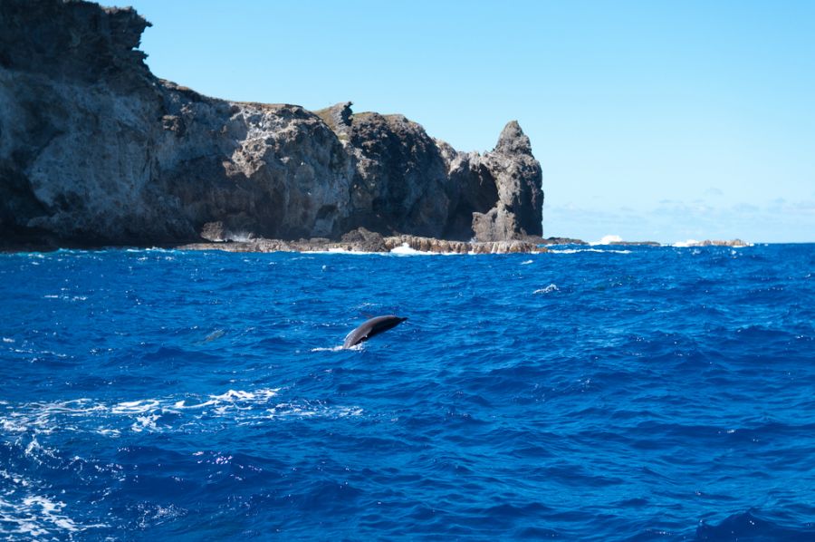 Острова Бонин Острова Огасавара JD1BOX Туристические достопримечательности Острова Бонин Острова Огасавара JD1BOX Туристические достопримечательности