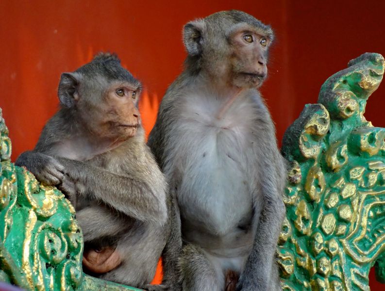 Cambodia XU7AGA Tourist attractions Cambodia XU7AGA Tourist attractions