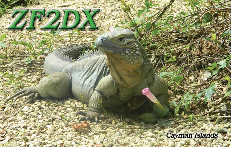 Cayman Islands ZF2DX QSL Cayman Islands ZF2DX QSL