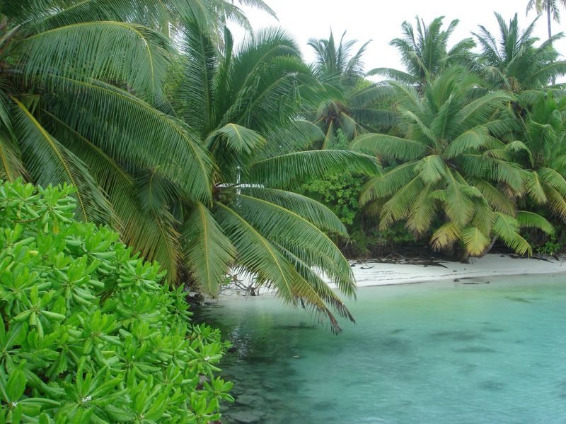 Yunior Garcia Archipelago