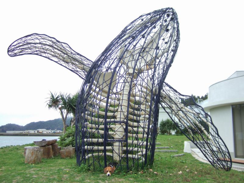 Chichijima Island JD1BOH Tourist attractions Chichijima Island JD1BOH Tourist attractions