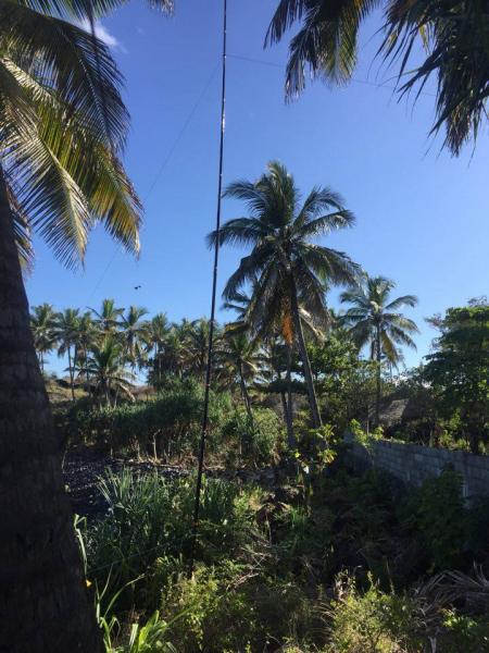 Comoro Islands D66D 80m antenna Comoro Islands D66D 80m antenna