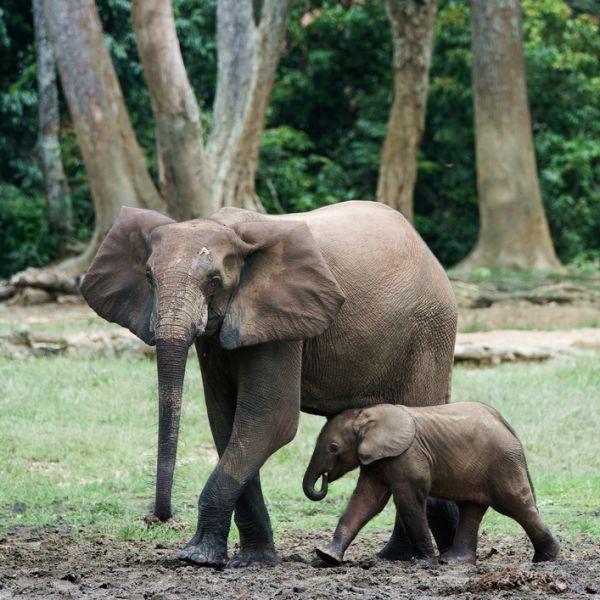 Democratic Republic of Congo 9Q0HQ Tourist Attractions Democratic Republic of Congo 9Q0HQ Tourist Attractions