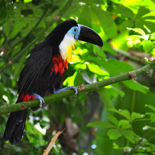 Costa Rica OK1NG/TI7 OK1IEC/TI7 Costa Rica OK1NG/TI7 OK1IEC/TI7