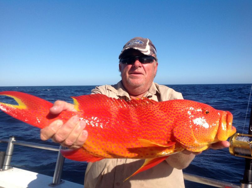 Остров Крокер Рыбалка Рыба Остров Крокер Рыбалка Рыба