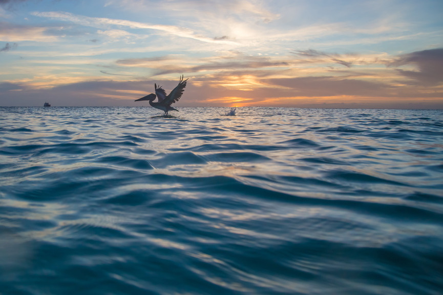 Остров Кюрасао PJ2/LA9PTA Туристические достопримечательности  Остров Кюрасао PJ2/LA9PTA Туристические достопримечательности