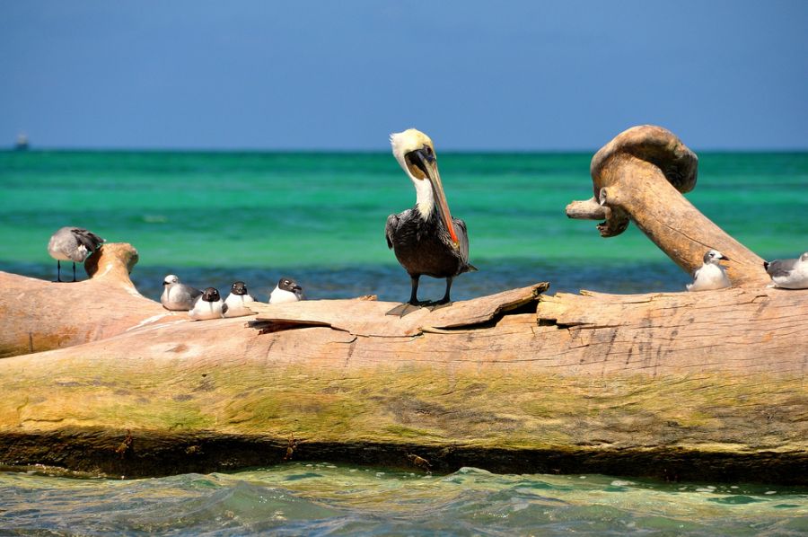 Dominican Republic HI3/HA3JB Tourist attractions spot  Dominican Republic HI3/HA3JB Tourist attractions spot