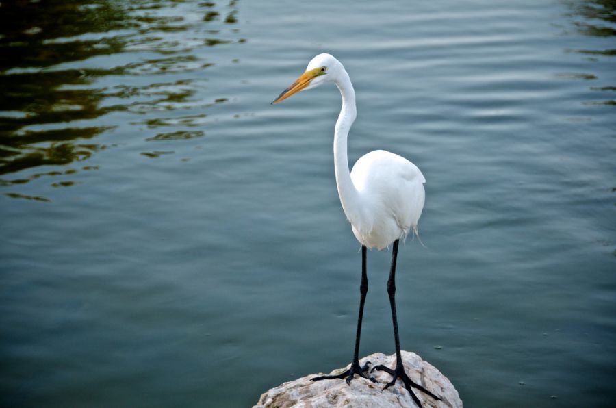 Dominican Republic HI3TT Tourist attractions spot Dominican Republic HI3TT Tourist attractions spot