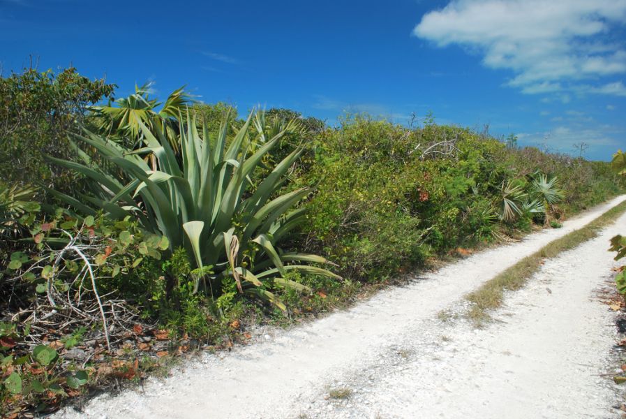 Eleuthera Island C6AWO C6AKX Tourist attractions Eleuthera Island C6AWO C6AKX Tourist attractions