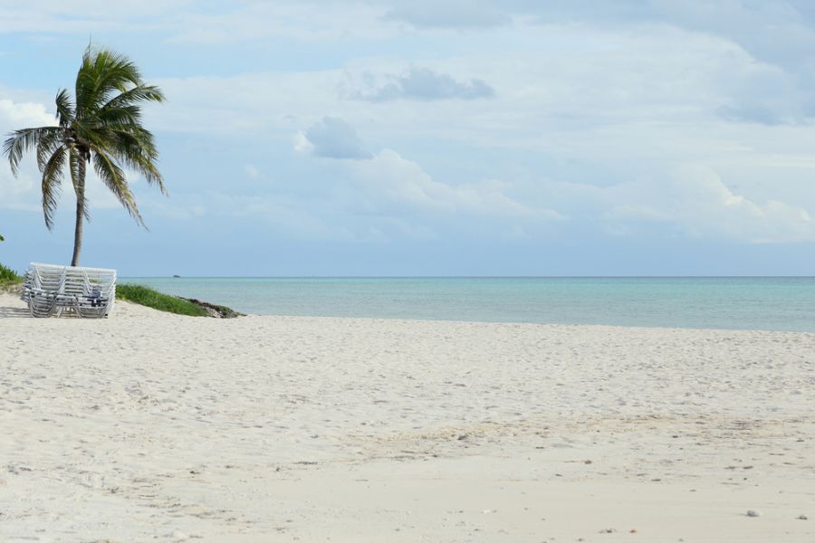 Grand Bahama Island C6ASL DX News Grand Bahama Island C6ASL DX News