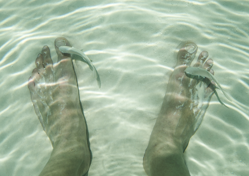 Grand Bahama Island C6AYM Tourist Attractions Grand Bahama Island C6AYM Tourist Attractions