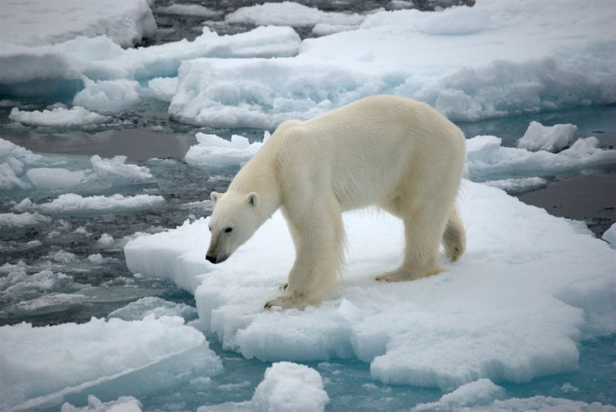 Greenland OX/NA8O  Greenland OX/NA8O