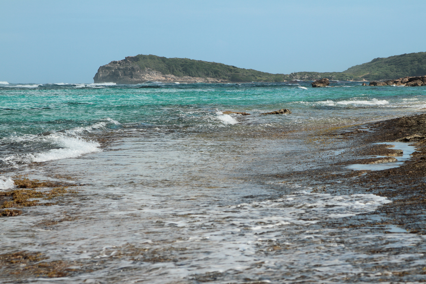 Guadeloupe Island FG/G4SGX Guadeloupe Island FG/G4SGX
