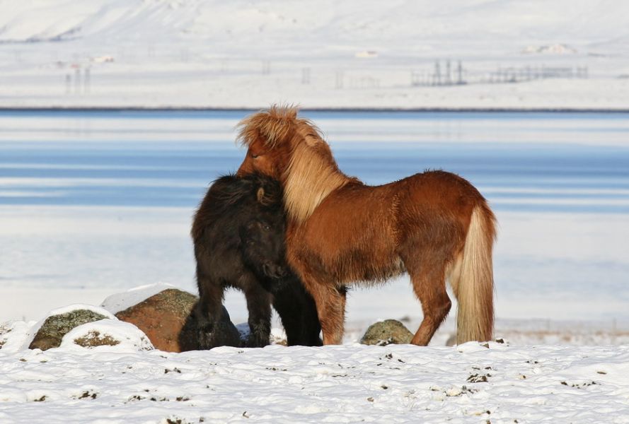 Iceland TF/K2HVN Tourist attractions Iceland TF/K2HVN Tourist attractions