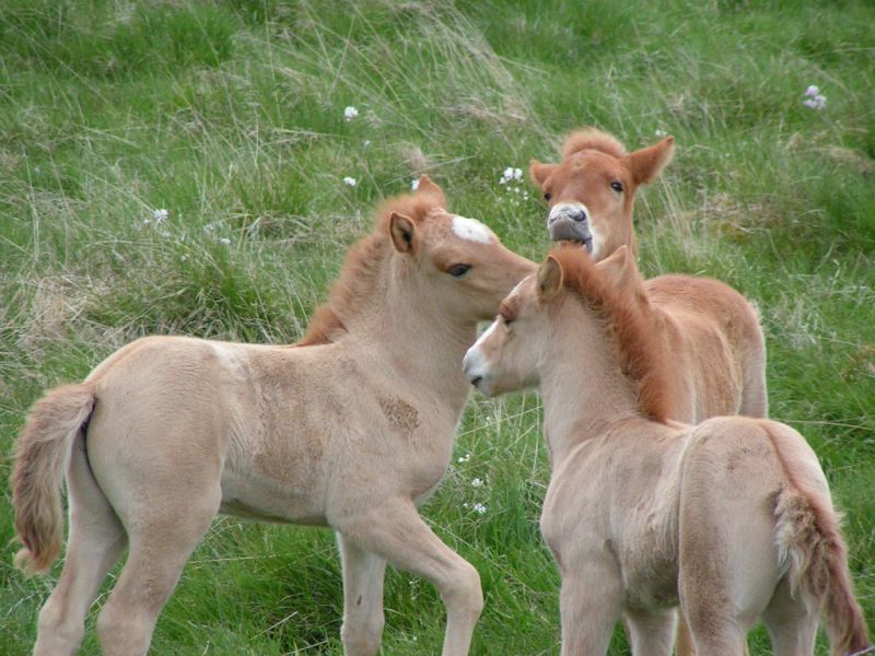 Iceland TF/DH2IW Tourist attractions spot