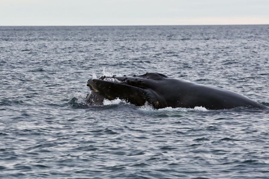 Iceland TF/EC4AIT Tourist attractions spot Iceland TF/EC4AIT Tourist attractions spot