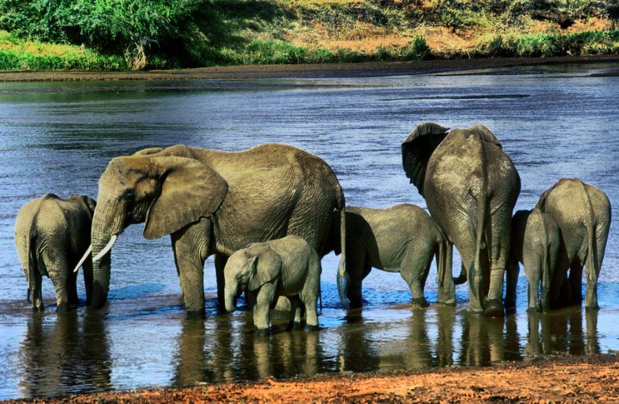 Kenya 5Z4/DC4CQ DX News 