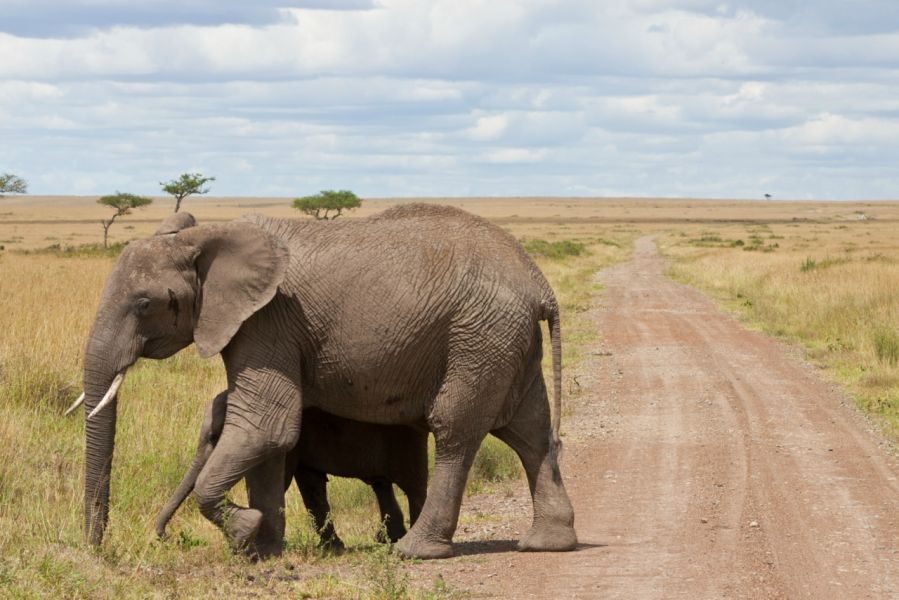 Кения 5Z4/IK2YDJ Туристические достопримечательности Кения 5Z4/IK2YDJ Туристические достопримечательности