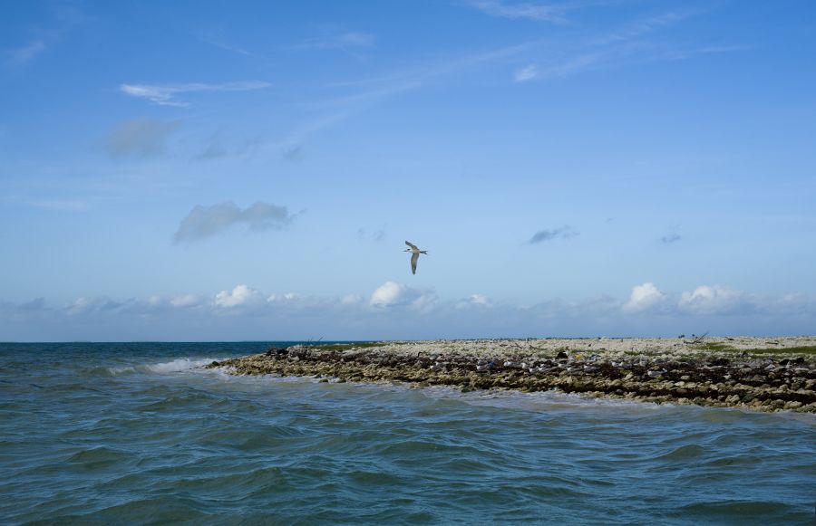 Остров Киритимати Остров Рождества T32DX  Остров Киритимати Остров Рождества T32DX