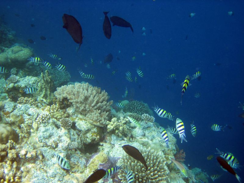 Koror Island T88ER Tourist attractions Palau Koror Island T88ER Tourist attractions Palau