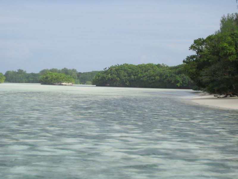 T88WX- Koror Island- Palau- News- Information