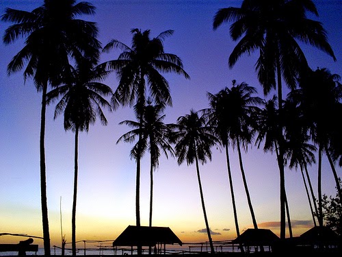 Laut Island YF1AR/7 DX News