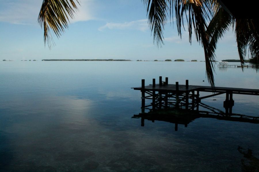 Manihiki Island E51AMF DX News