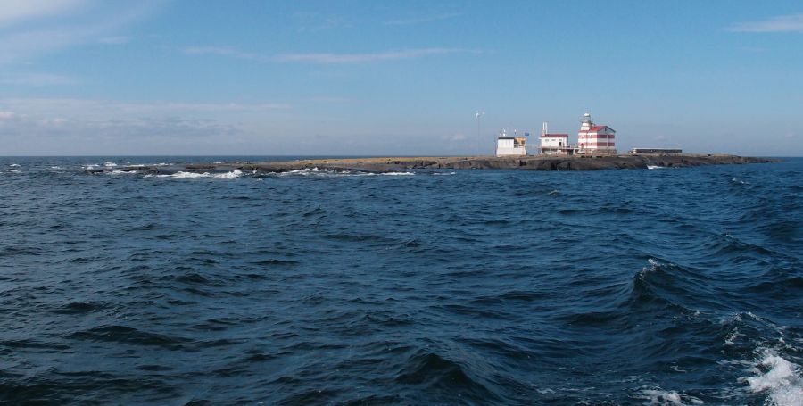 Маркет Риф OJ0S DX Новости Маркет Риф OJ0S DX Новости